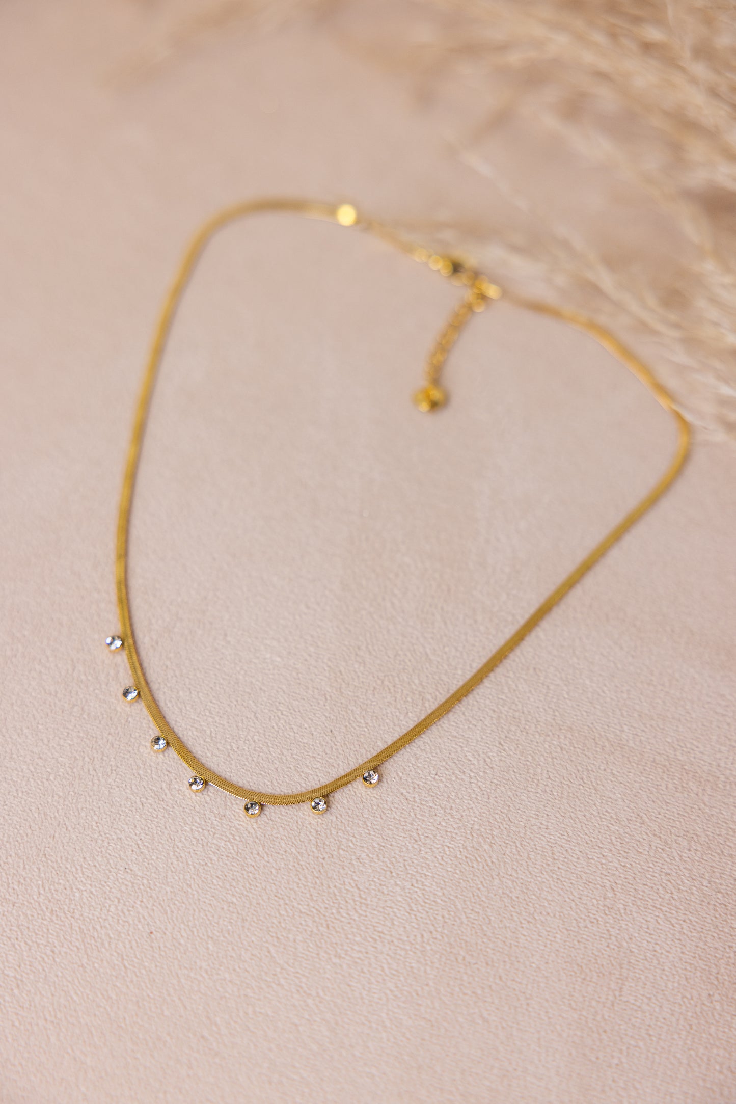 COLLIER SYLVIA